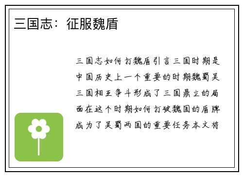 三国志：征服魏盾